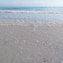 фото из отзыва ID 2088670