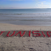 фото из отзыва ID 2088670