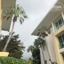 фото из отзыва ID 2088693