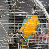 фото из отзыва ID 2088658