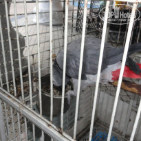 фото из отзыва ID 2088658