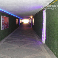 фото из отзыва ID 2088658