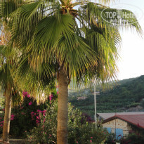 фото из отзыва ID 2088658