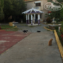 фото из отзыва ID 2088777