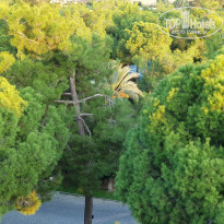 фото из отзыва ID 2088849