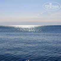 фото из отзыва ID 2088849