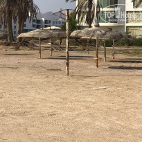 фото из отзыва ID 2088943