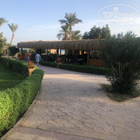 фото из отзыва ID 2088943