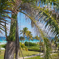 фото из отзыва ID 2089009