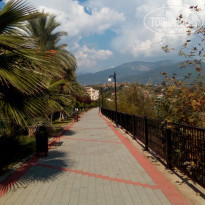 фото из отзыва ID 2089013