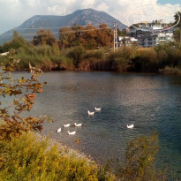 фото из отзыва ID 2089013