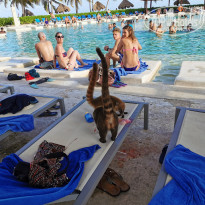 фото из отзыва ID 2089028