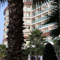 фото из отзыва ID 2089190