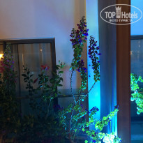 фото из отзыва ID 2089190