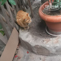 фото из отзыва ID 2089219