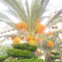 фото из отзыва ID 2089291