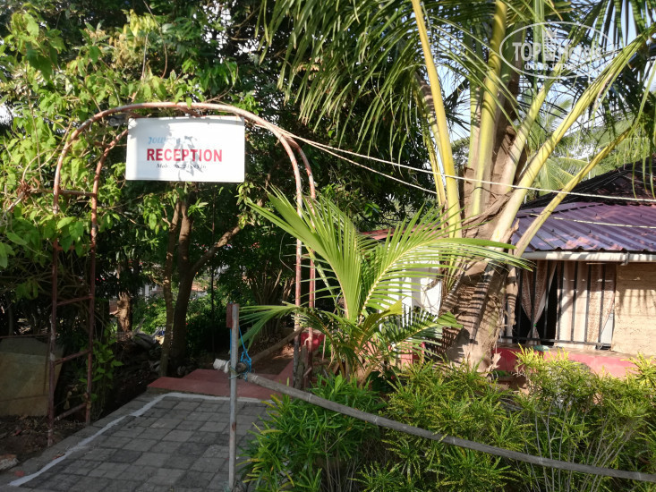 New photos from tourists Jolly Jolly Lester 