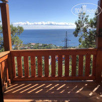 фото из отзыва ID 2089350