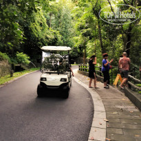 фото из отзыва ID 2089423