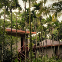 фото из отзыва ID 2089423