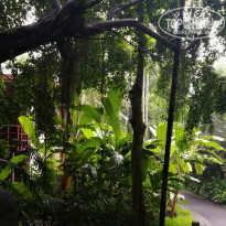 фото из отзыва ID 2089423