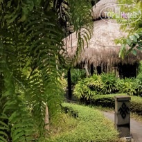 фото из отзыва ID 2089423