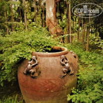 фото из отзыва ID 2089423