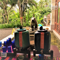 фото из отзыва ID 2089423