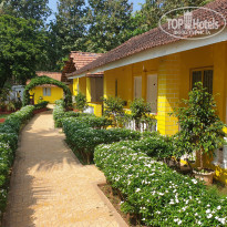 фото из отзыва ID 2089483