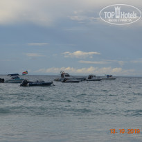 фото из отзыва ID 2089539