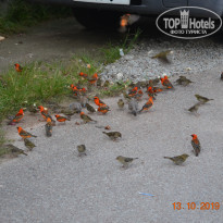 фото из отзыва ID 2089539