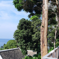 фото из отзыва ID 2089573