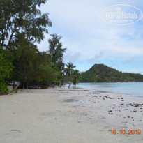 фото из отзыва ID 2089539