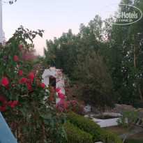 фото из отзыва ID 2089617