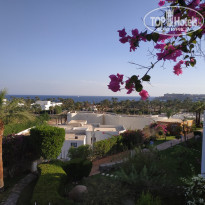 фото из отзыва ID 2089617