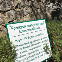 фото из отзыва ID 2089672