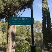 фото из отзыва ID 2089672