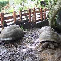 фото из отзыва ID 2089715