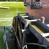 фото из отзыва ID 2089760