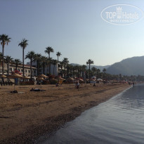 фото из отзыва ID 2089786