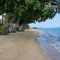 фото из отзыва ID 2089908