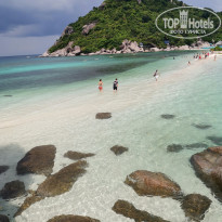 фото из отзыва ID 2089908