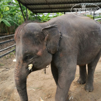 фото из отзыва ID 2089908