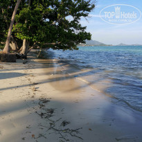 фото из отзыва ID 2089908