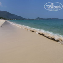 фото из отзыва ID 2089908