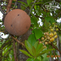 фото из отзыва ID 2089899