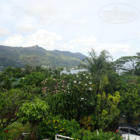 фото из отзыва ID 2089899