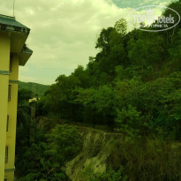 фото из отзыва ID 2089939