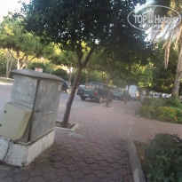 фото из отзыва ID 2089505