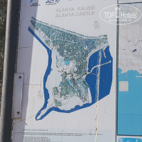 фото из отзыва ID 2088671